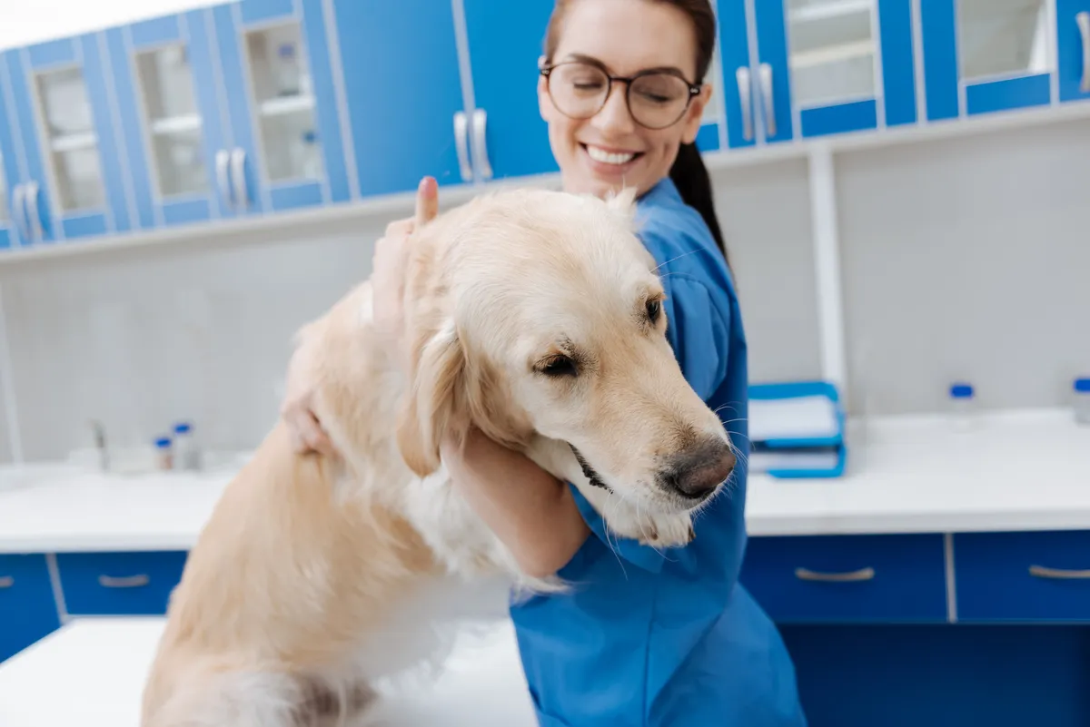 low cost spay and neuter raleigh nc