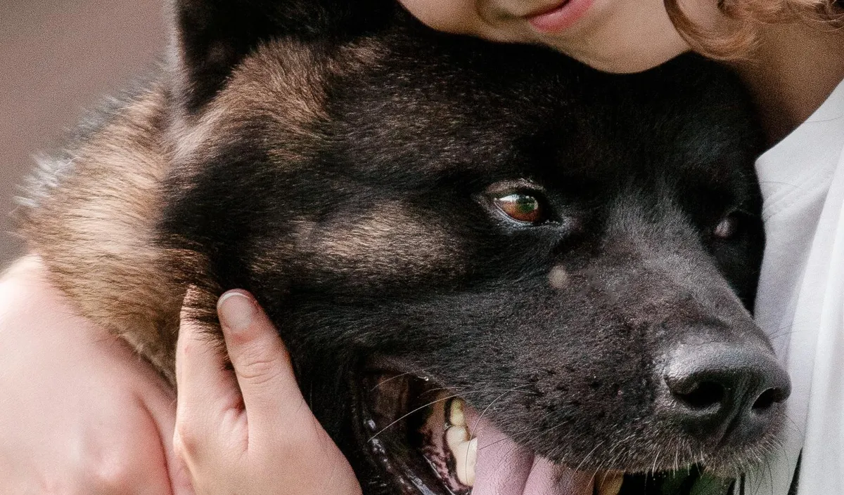 puppy vacination in fife or tacoma area