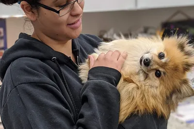 free vet clinic brooklyn