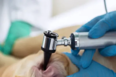 free or low cost clinic pomona